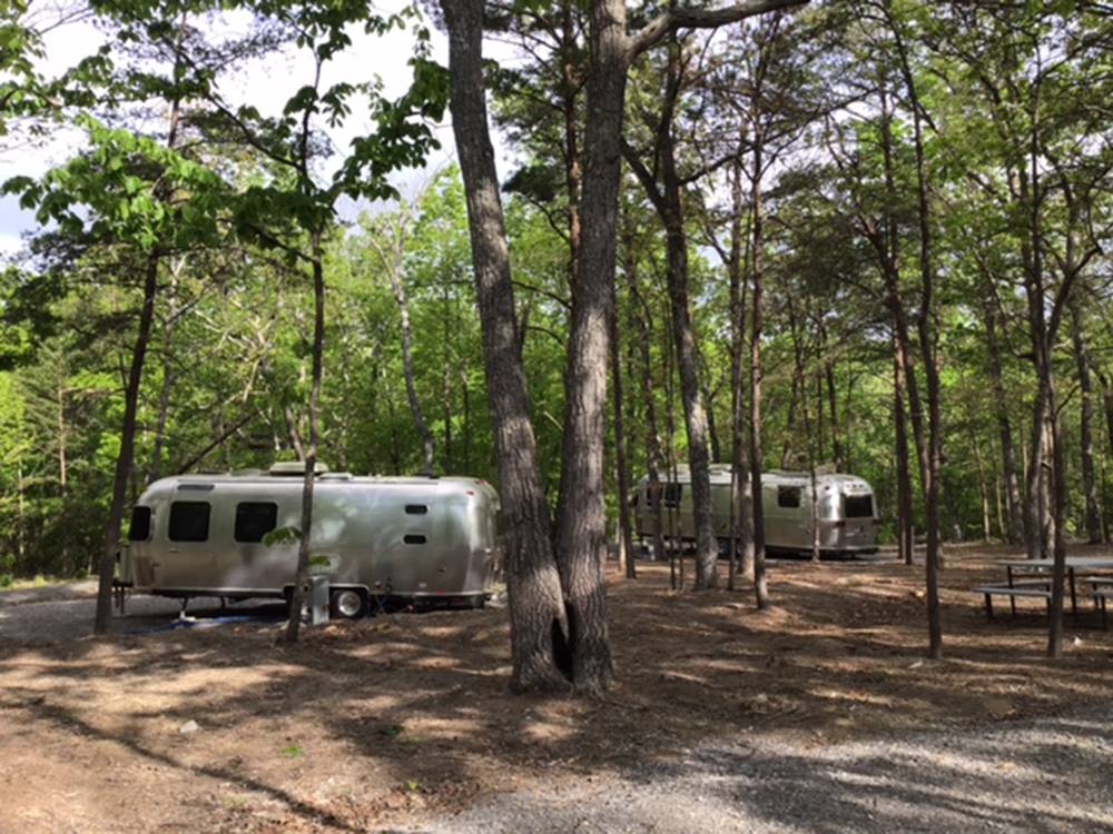 Vintage trailers at Cloud Camp