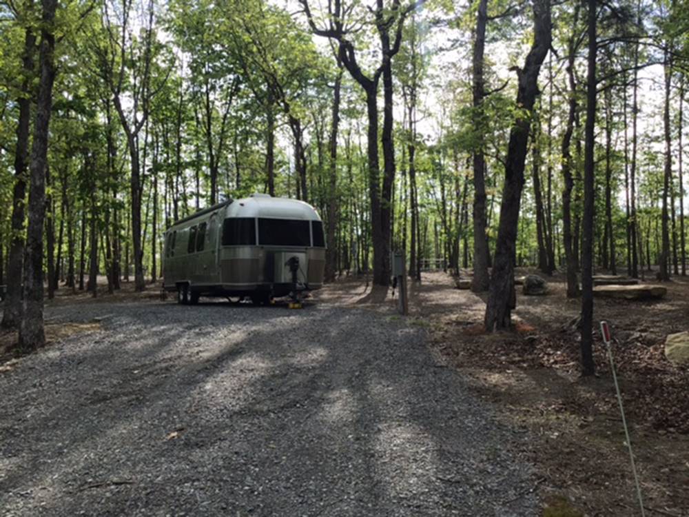 Vintage trailer in the trees at Cloud Camp