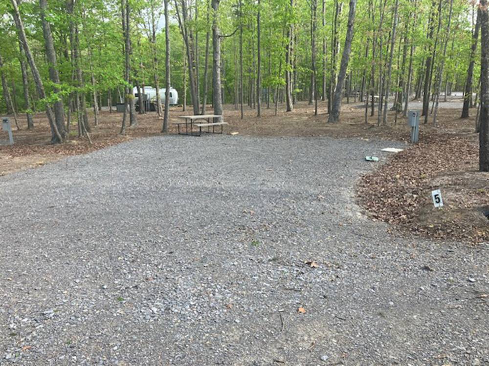 Gravel road through the trees at Cloud Camp