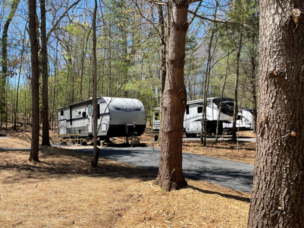 Trailer in tree lined site at Lakewood Park Campground