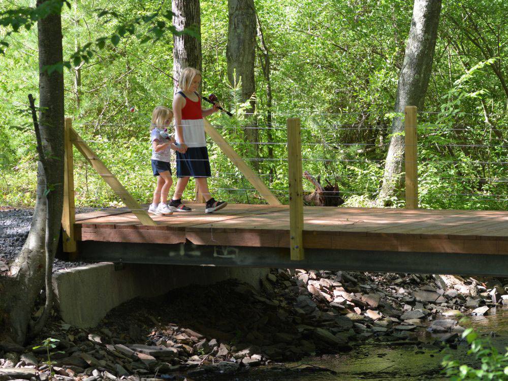 Two children on a walking bridge