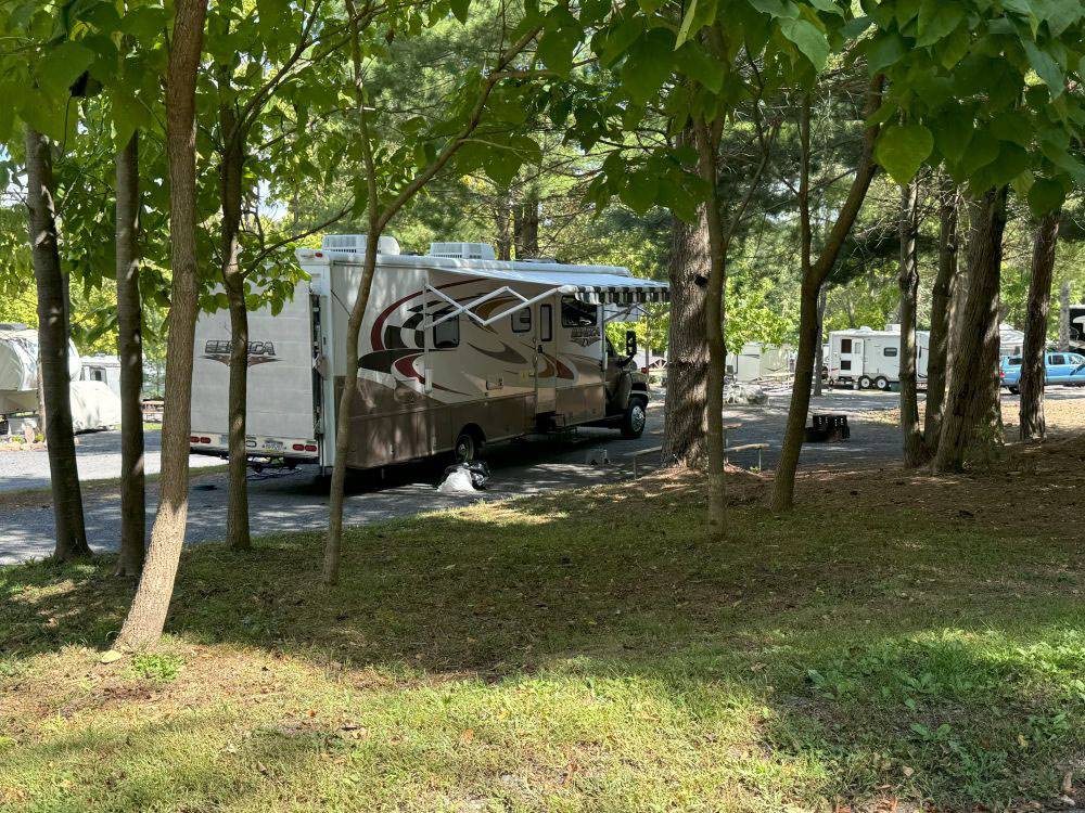 A travel trailer in a shady spot