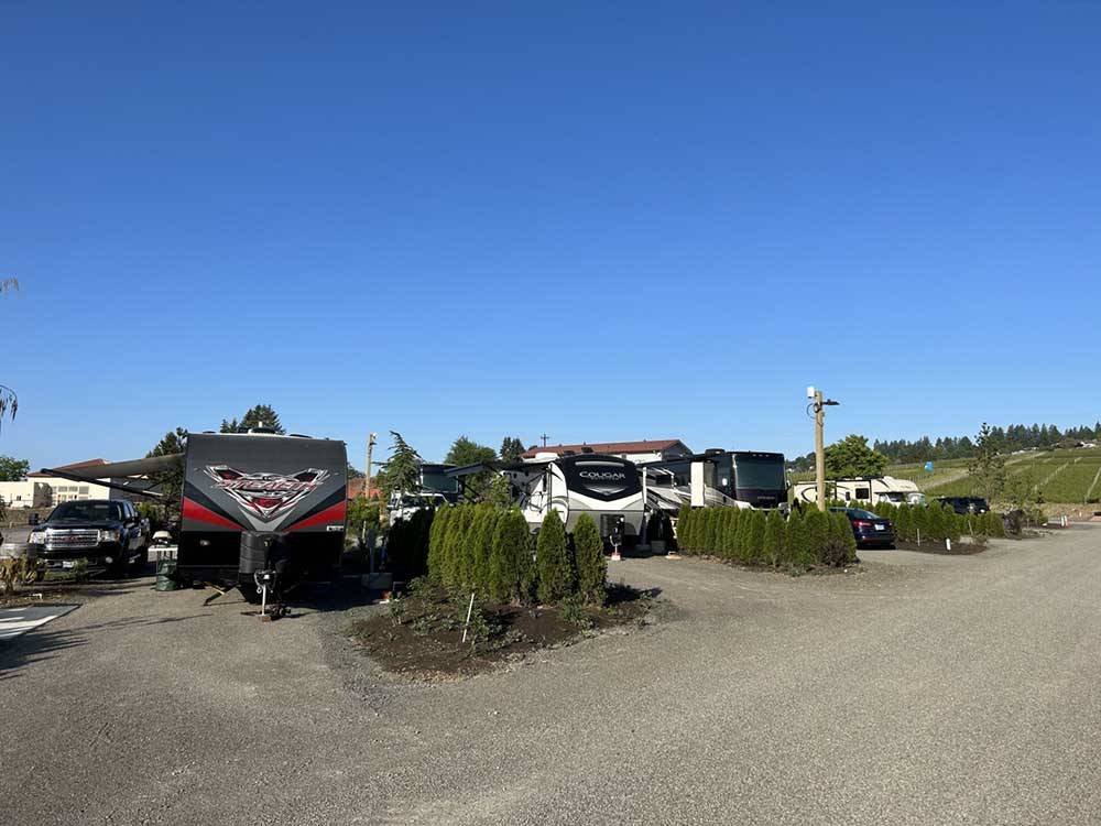 A row of motorhomes and trailers in gravel sites at DUNDEE HILLS RESORT