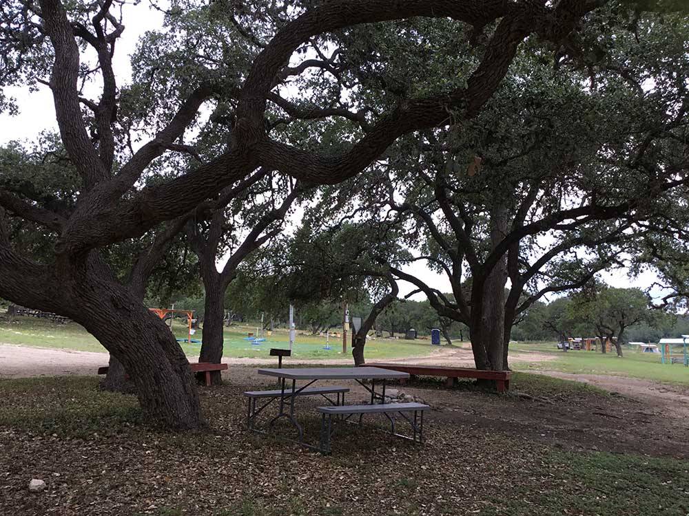 A picnic bench and barbecue pit under the trees at REBECCA CREEK CAMPGROUNDS