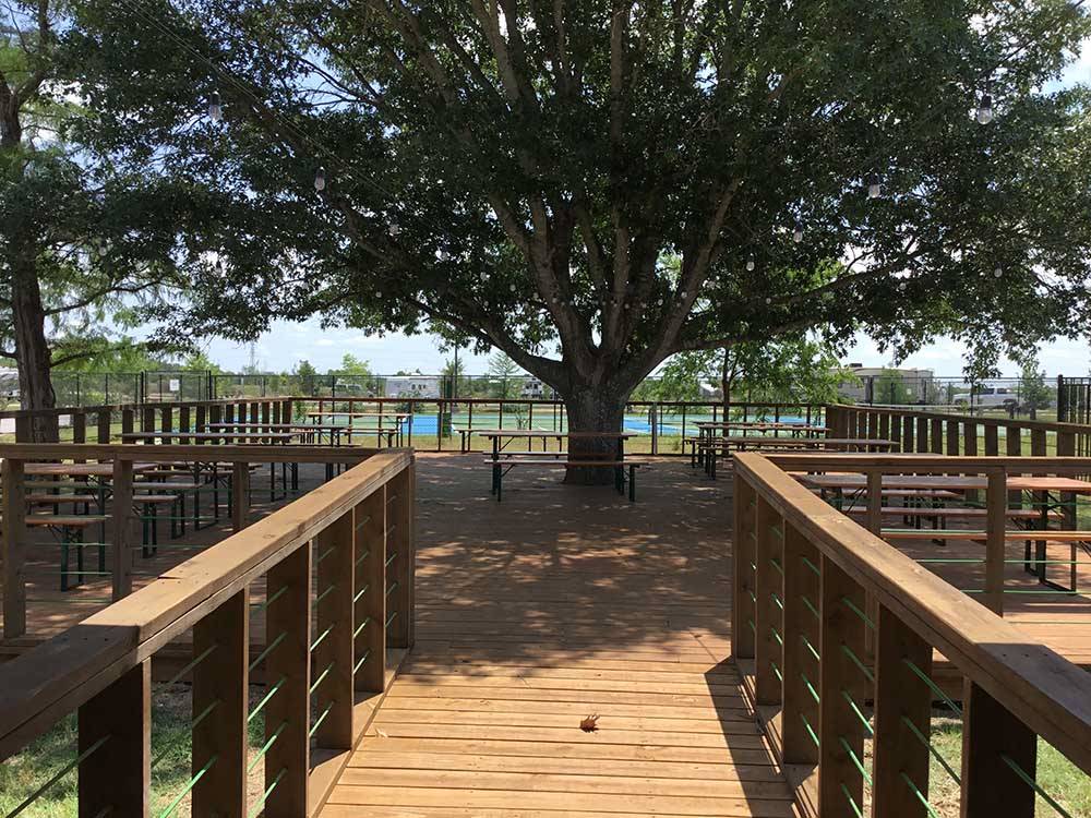 A sitting area under a large tree at SCHATZILAND RV RESORT