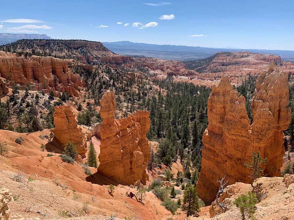 A view of the Bryce Canyon National Park nearby at SETTLERS JUNCTION RV PARK