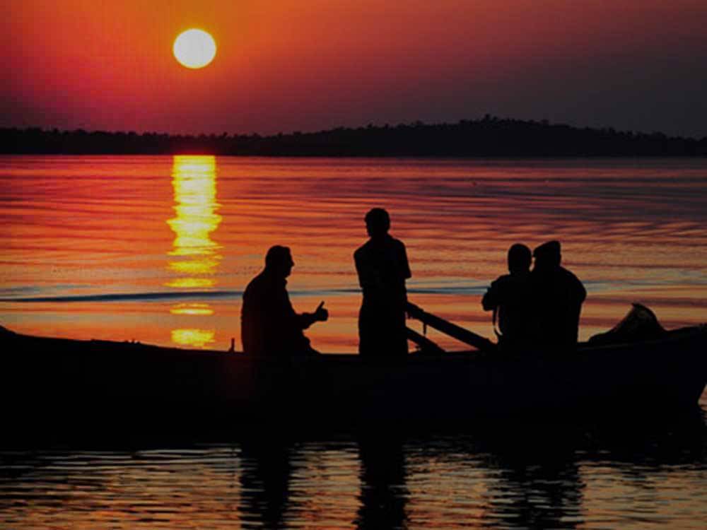 A group fishing at dusk at FALL CREEK MARINA AND CAMPGROUND