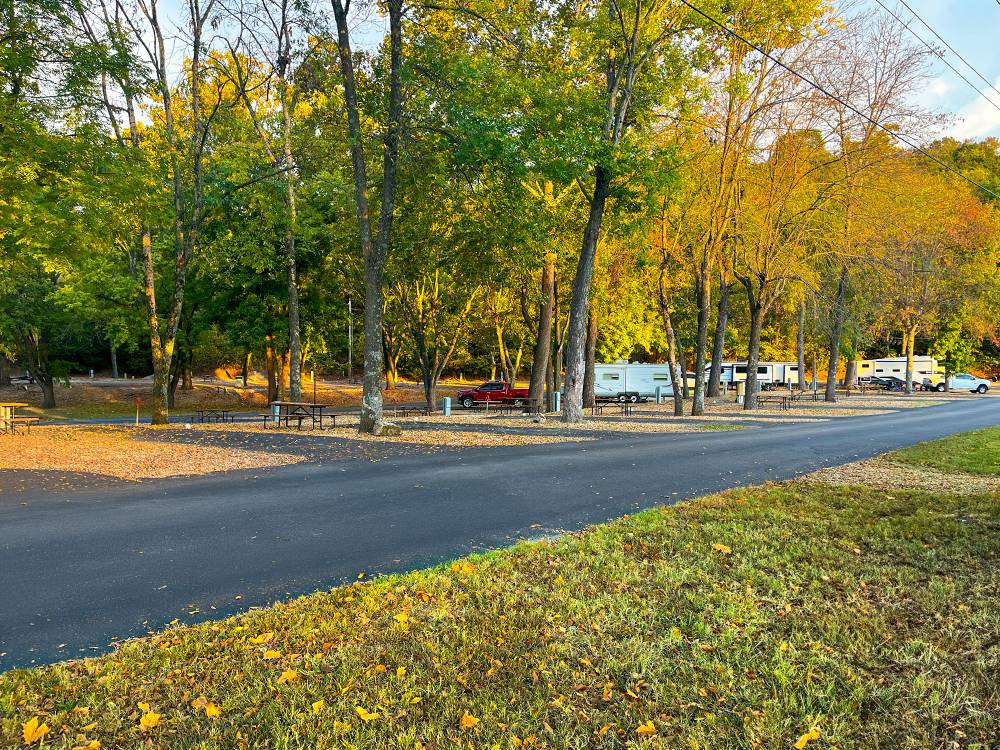 Paved road at park