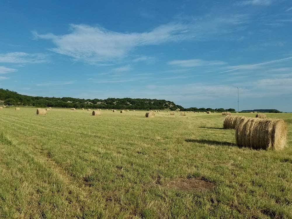A bunch of hay barrel in a grassy area at SKYE TEXAS HILL COUNTRY RESORT