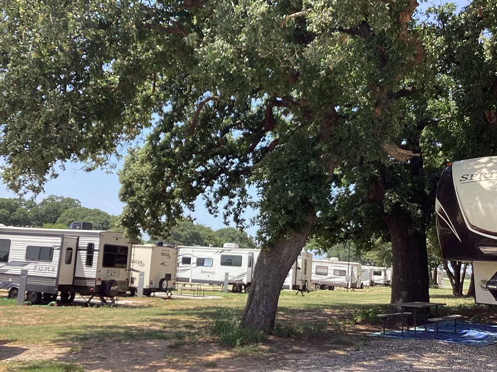 A row of travel trailers in grassy sites at OLD TOWNE RV RANCH