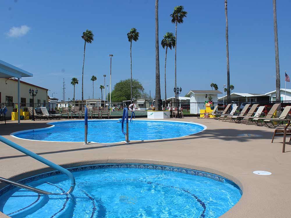 The pool and palm trees at RIO VALLEY ESTATES 55+ MOBILE/RV PARK