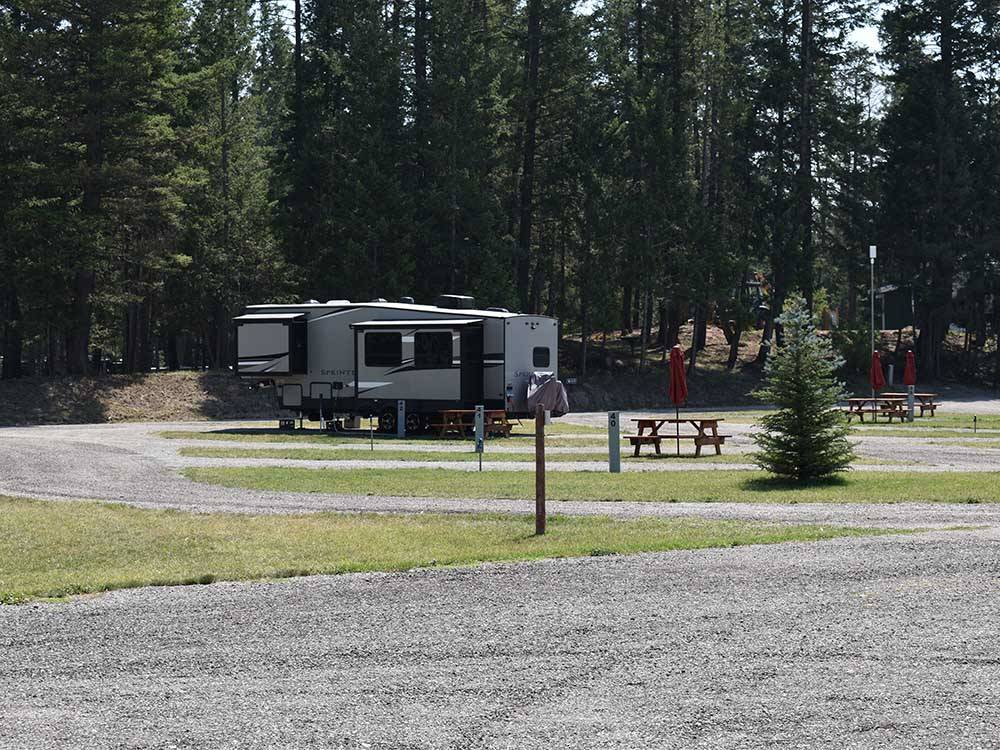 A gravel road leading to RV spots at WHISPERING PINES RV PARK