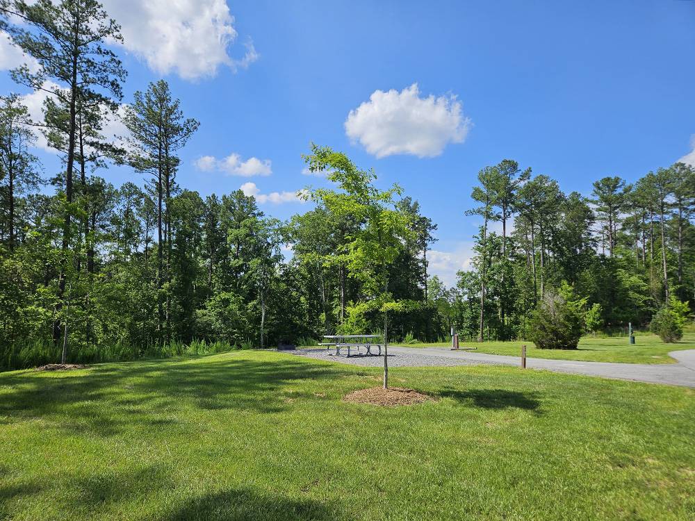 Campground Image