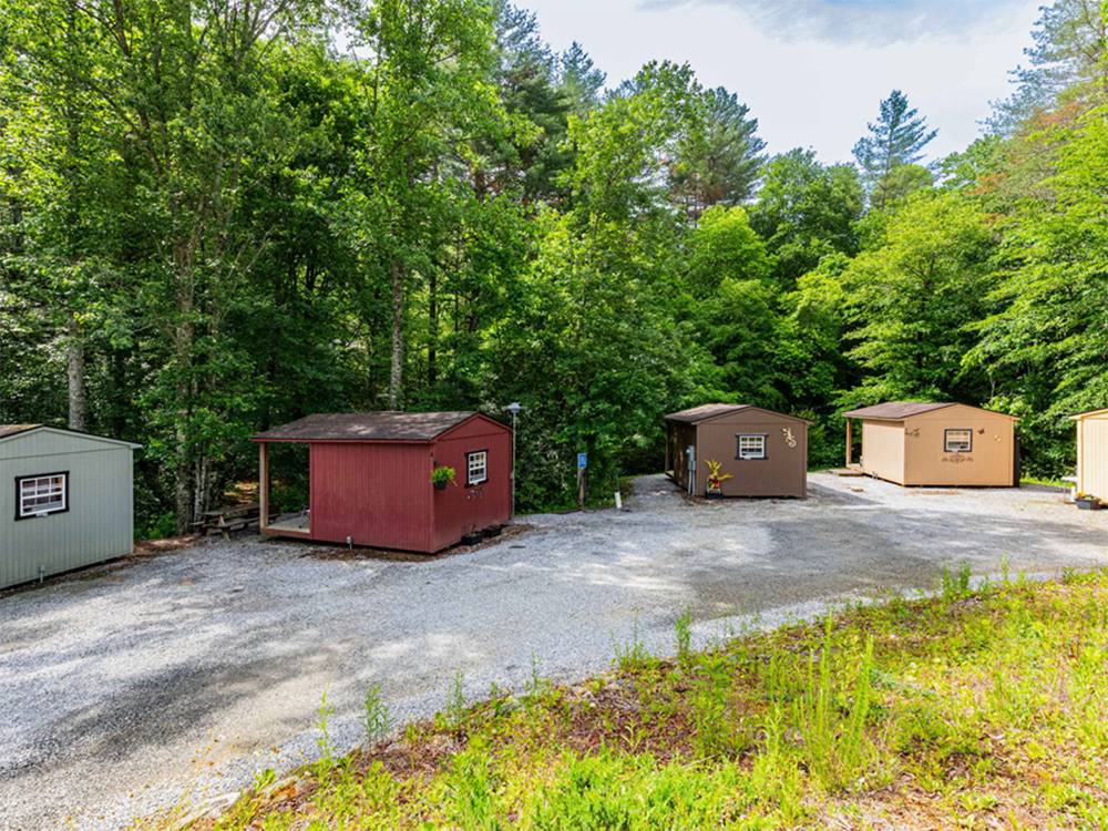 Five rentals available