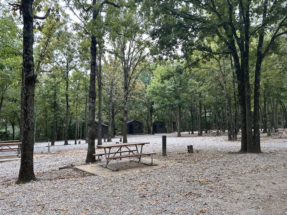 Picnic benches near the cabins at RUSTIC RIDGE