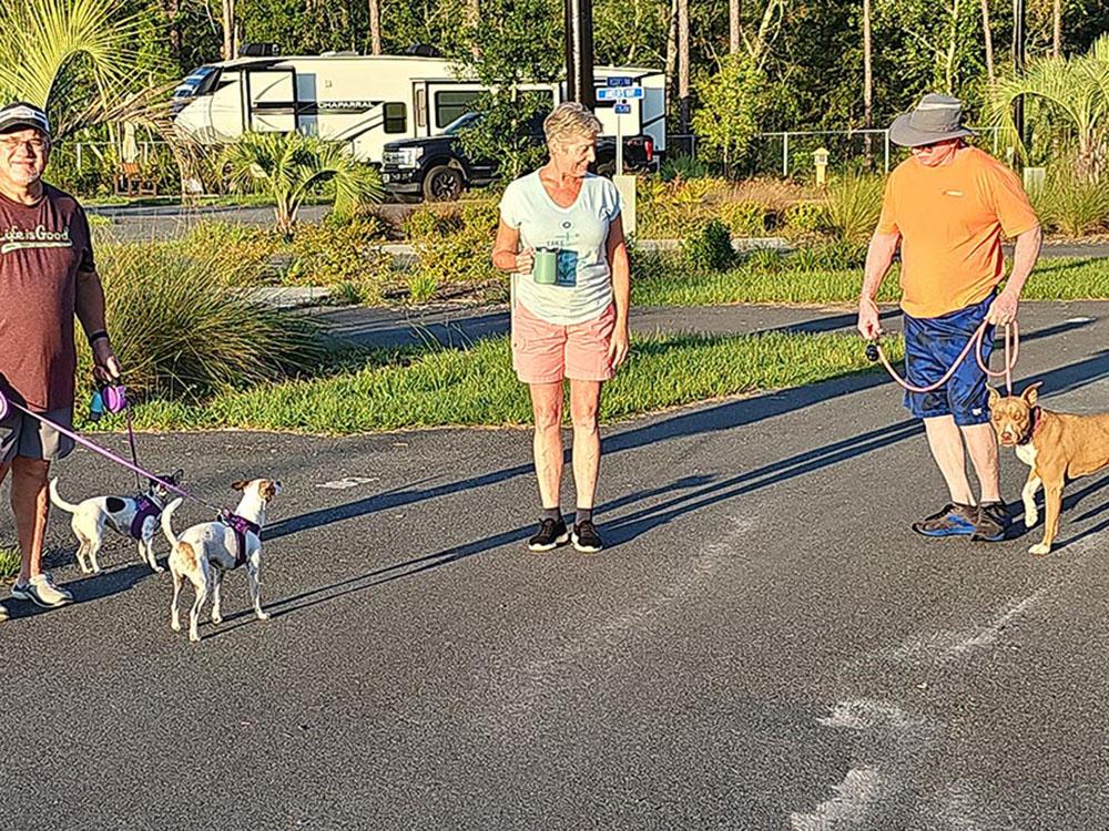 Two men and a lady walking their dogs at SANTA FE PALMS RV RESORT