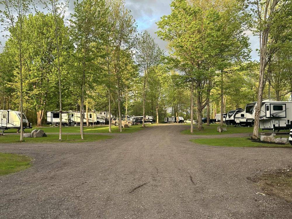 RV sites among shade trees