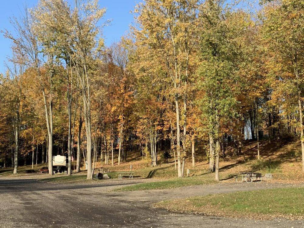 RV sites near trees with fall leaves