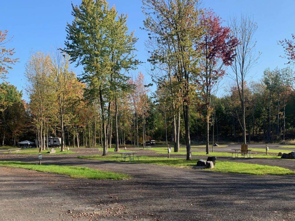 A view of RV sites and trees