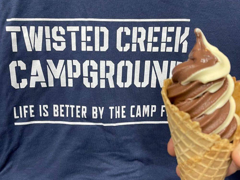 Someone holding an ice cream cone wearing a park shirt