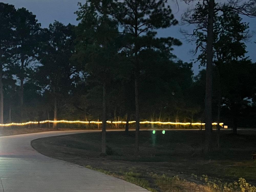 A lighted, paved drive to the RV sites at STARRVILLE RV RESORT