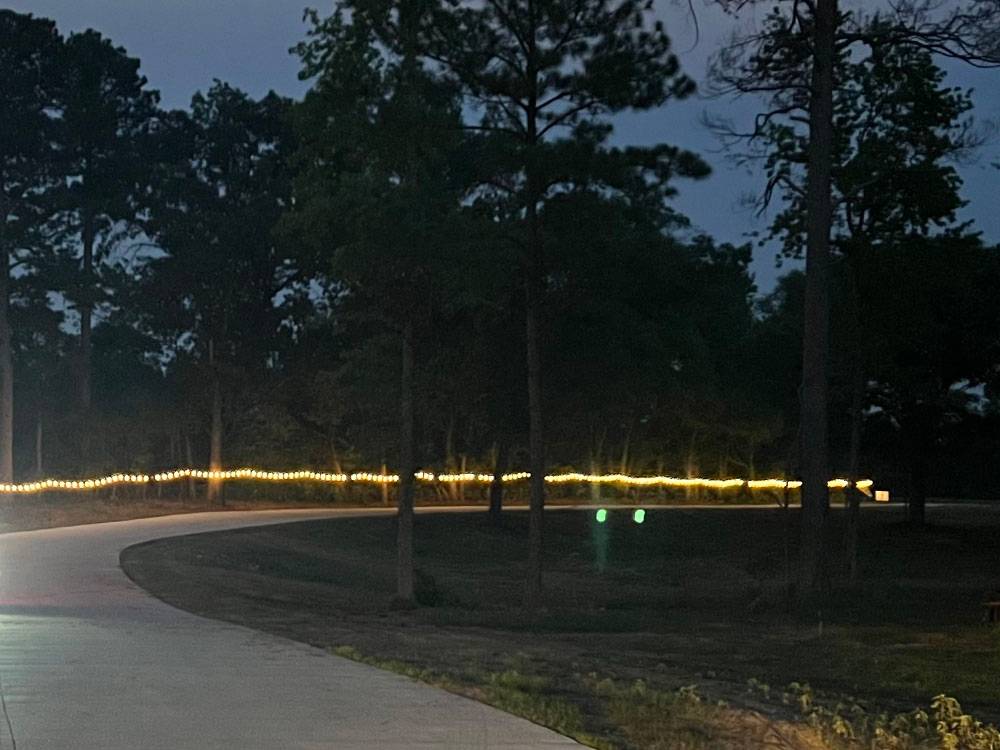 A lighted, paved drive to the RV sites