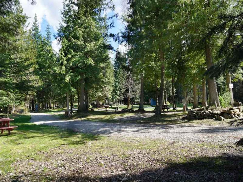 Sites in the trees at Lost Moose Campground