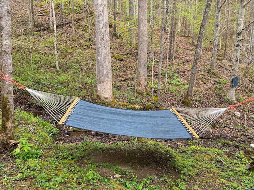 A hammock hanging in the middle of the forest at HEAVENLY HILLS NATURE RETREAT