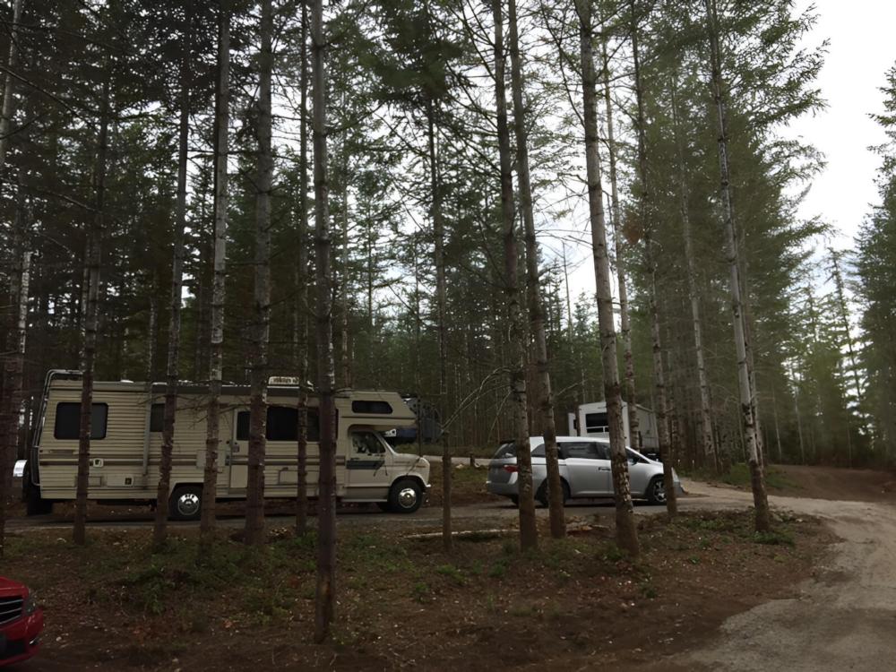 Campsites in the trees