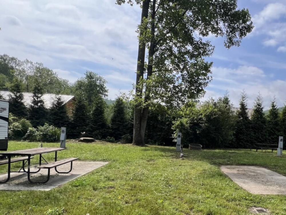 Grass campsite with table at Ela Campground