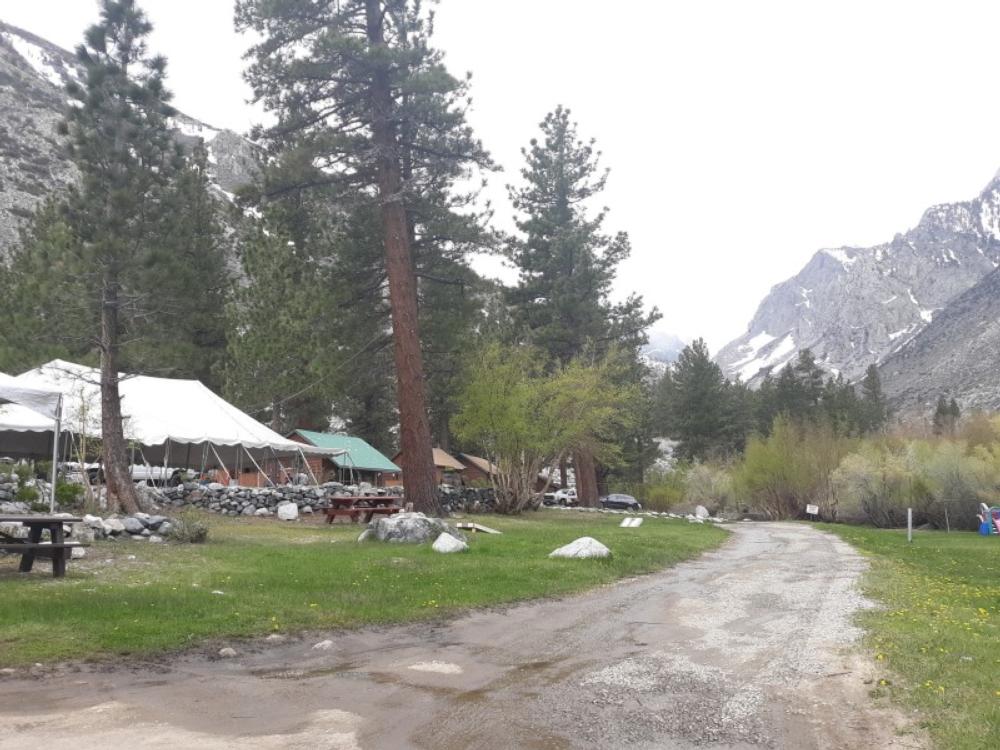 Road into campground with trees and buildings at Glacier Lodge