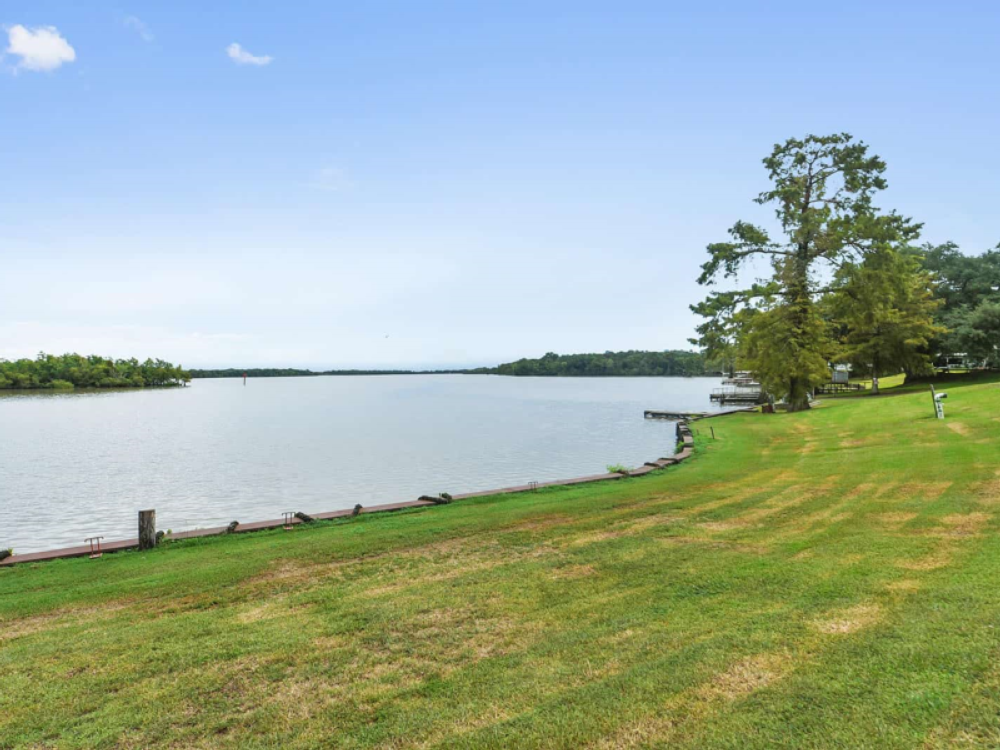 Grassy shoreline at Myers Landing