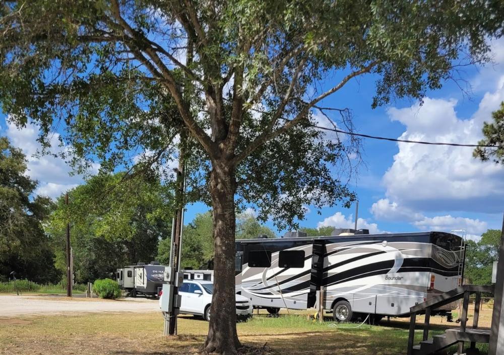 RV Sites and RVs amongst trees