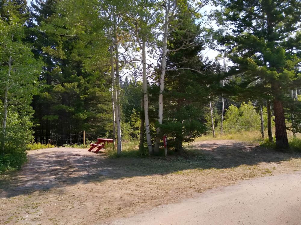 Open RV space with panic table at site Leaning Tree Cafe and Campground