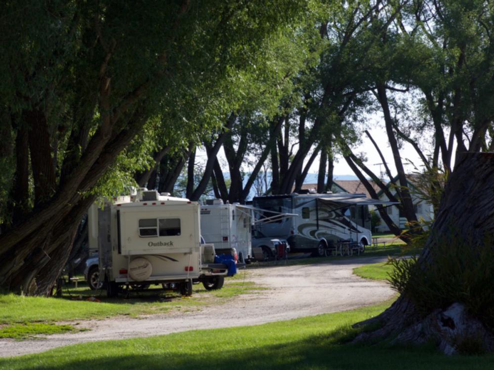 Shaded RV sites at Jolley Camper RV and Cottages