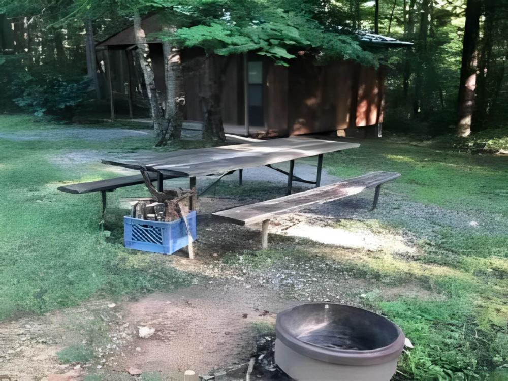 Picnic table and fire ring at Ray's Campground