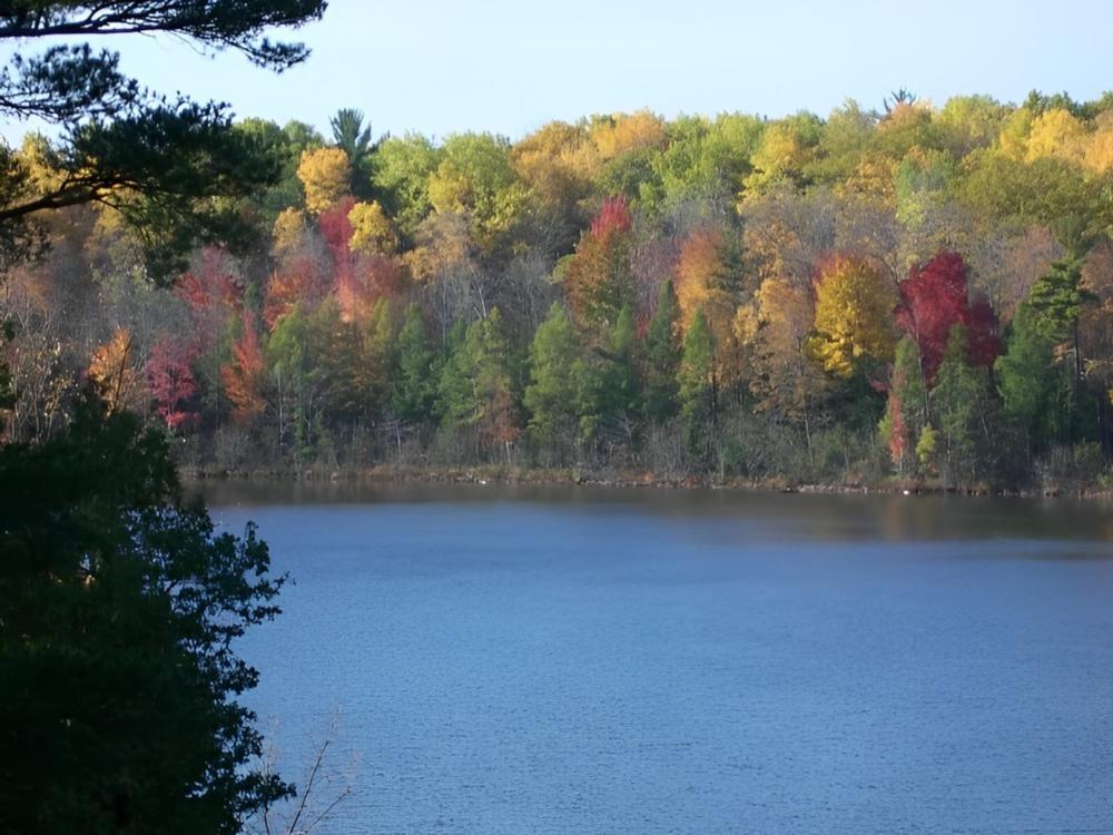 Lake with fall trees at The Woodlands Acres Campground