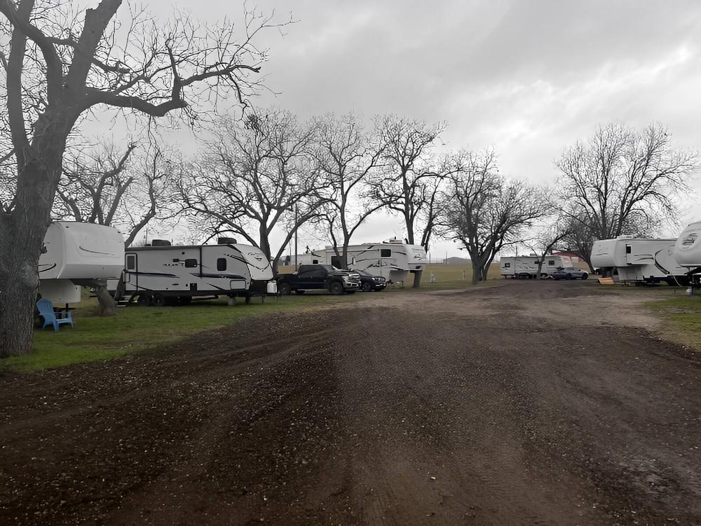 Sites with trees at Pecan Grove RV Park - Kenedy