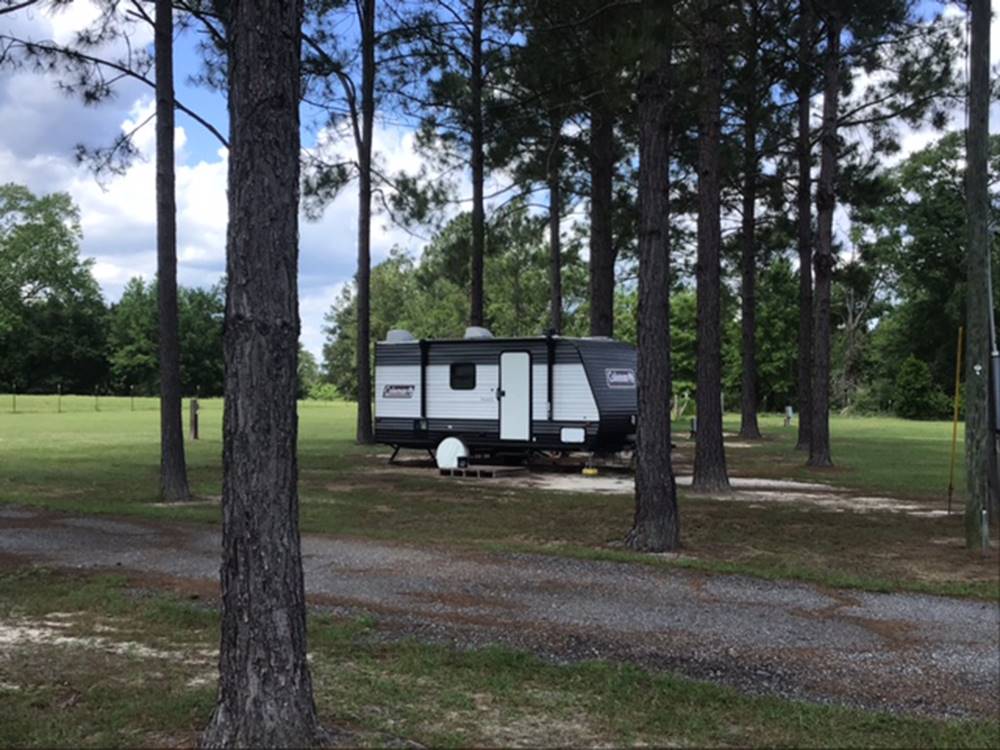 Trailer under the trees at 341 RV Park