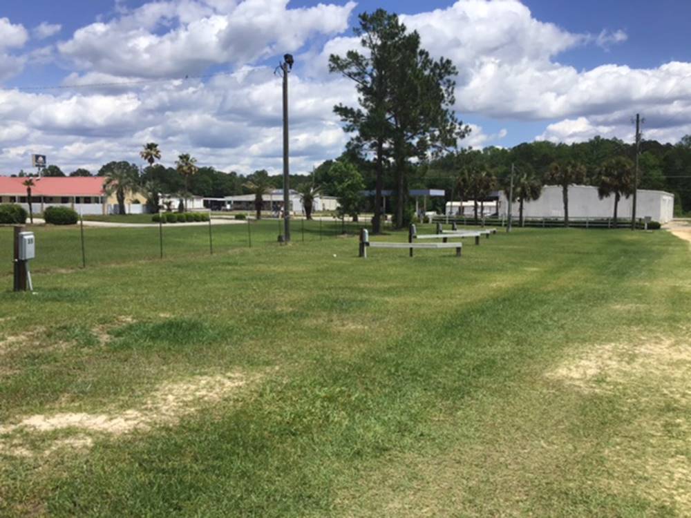 Grassy field at 341 RV Park