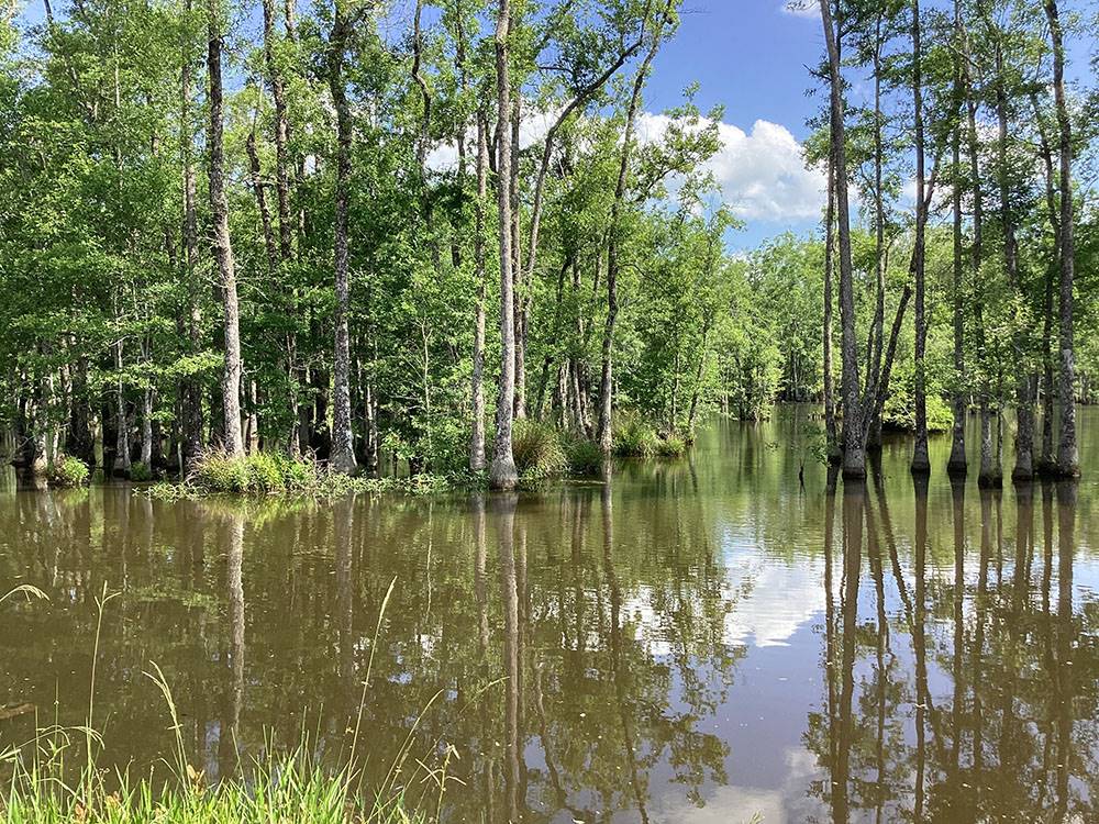 View of extra large fishing area
