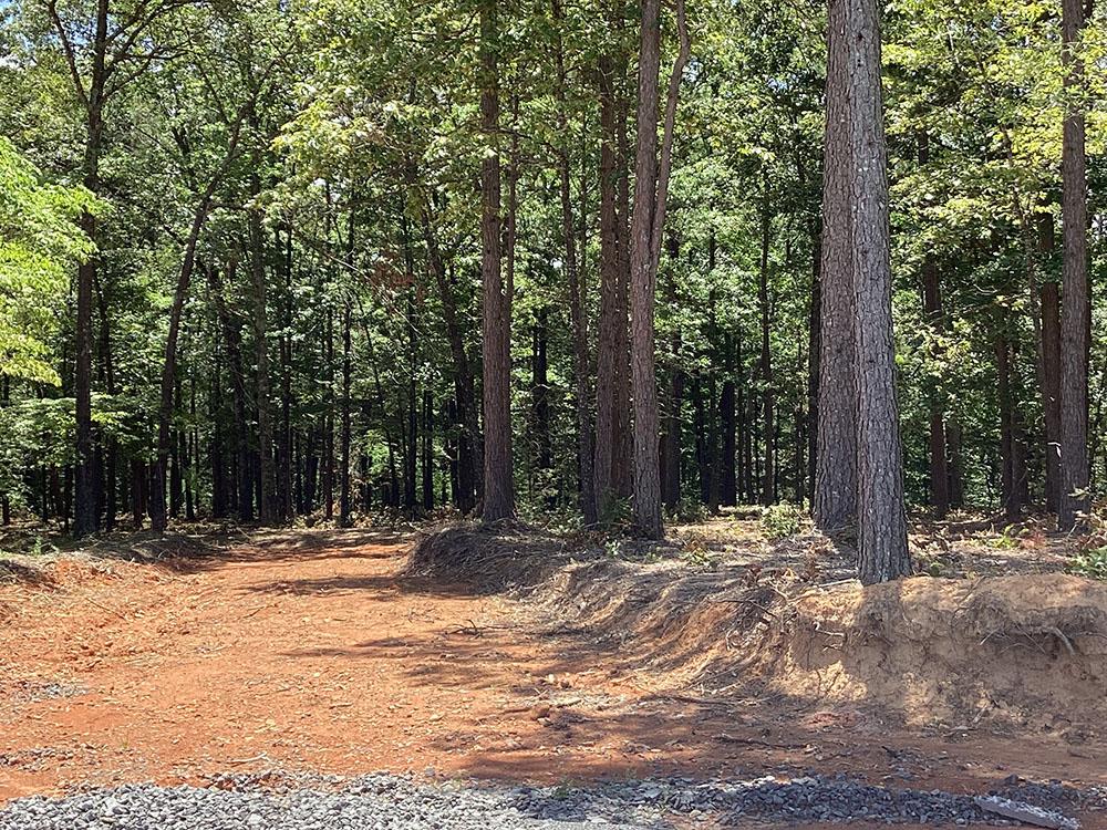 Gravel road and trees at DEW DROP IN