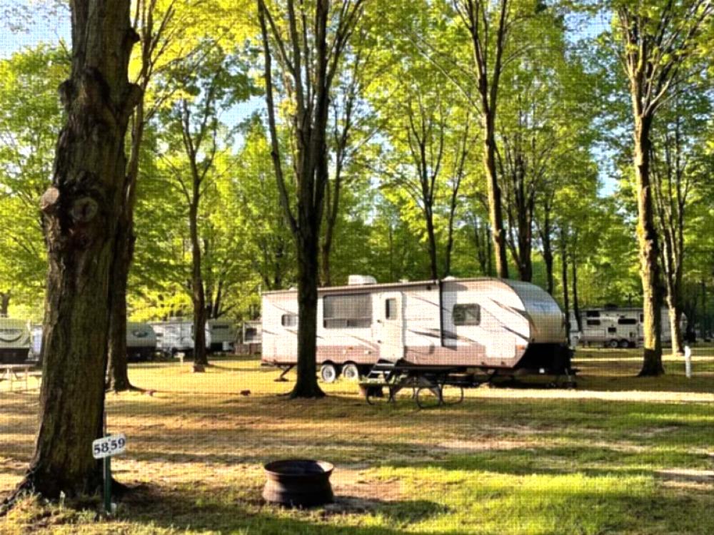 Parked trailer at site Forest Haven Campground