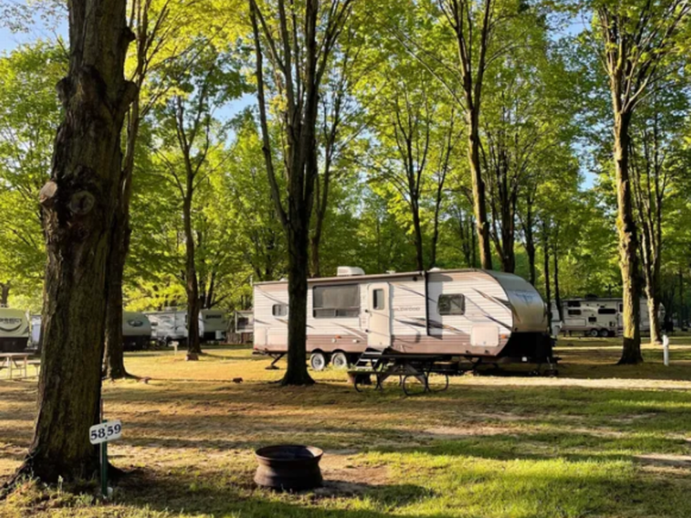 Shady sites at Forest Haven Campground