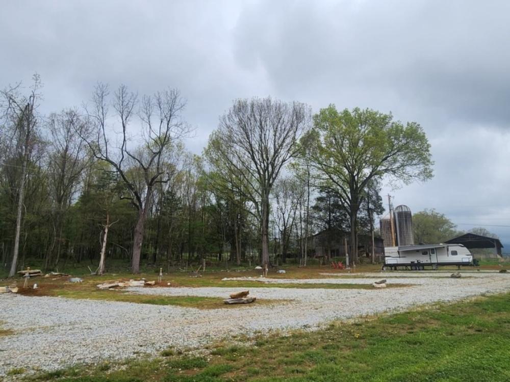 Tree lined gravel RV sites at Yeary Valley Farms