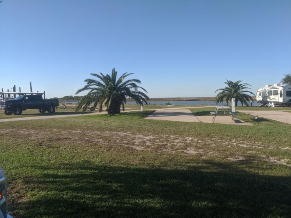 Paved site a palm tree at RV Park Spoonbill