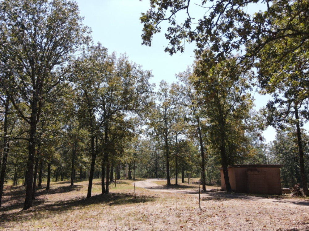 Tree lined campground at Rollin Oaks Park