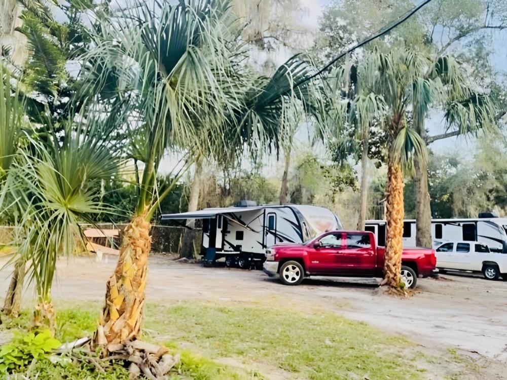 RVs in sites with palm trees