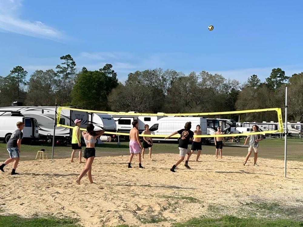 People playing volleyball