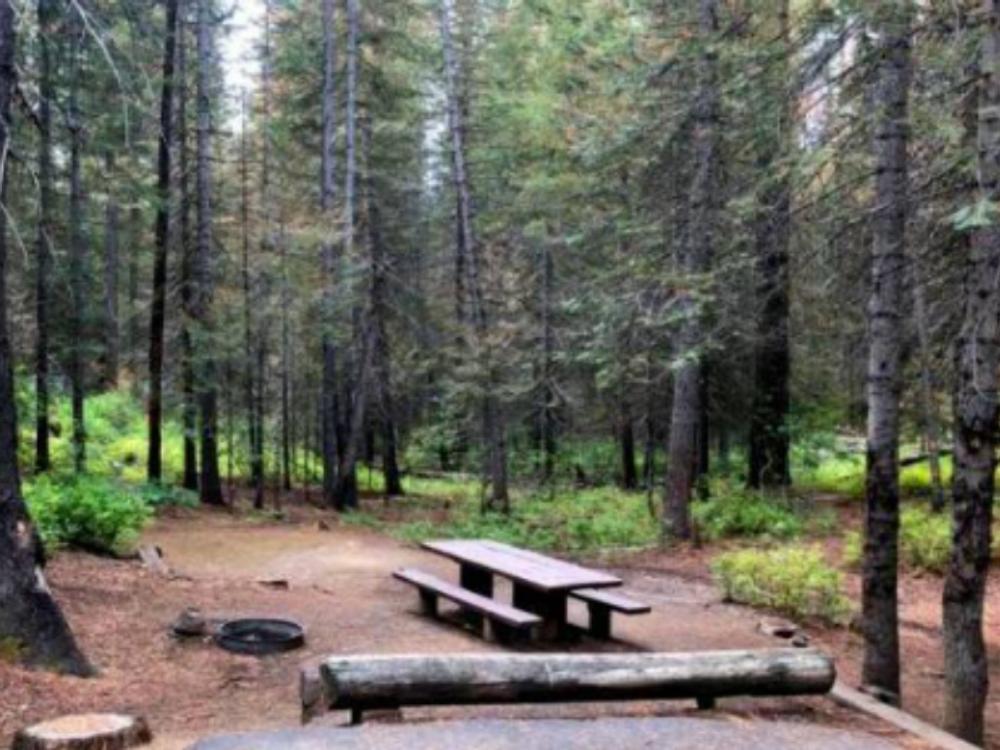 Wooded campsite at Cabins By The Creek